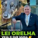 APRESENTEI A LEI ORELHA! “Por Deputado Estadual/SC Mário Motta.”