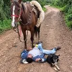 CAIU DE BÊBADO, E O CAVALO NÃO O ABANDONOU: ISSO QUE É AMIGO FIEL!