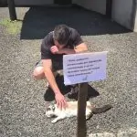 VÍDEO! REVOLTA E TRISTEZA EM ORLEANS/SC! “Gatinho de 8 meses morre após envenenamento no bairro Coloninha.” POR ÉDIO ANTÔNIO!